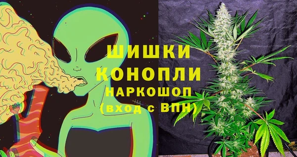 бошки Вяземский