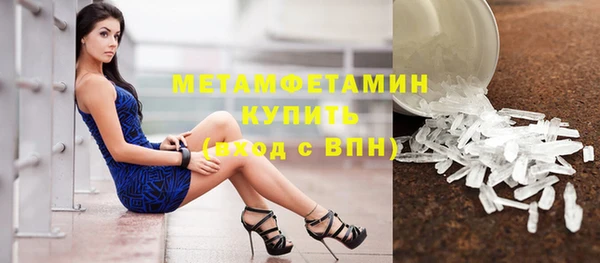 прущие грибы Вязьма