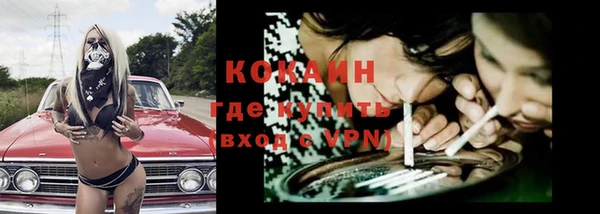 прущие грибы Вязьма