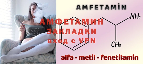 прущие грибы Вязьма