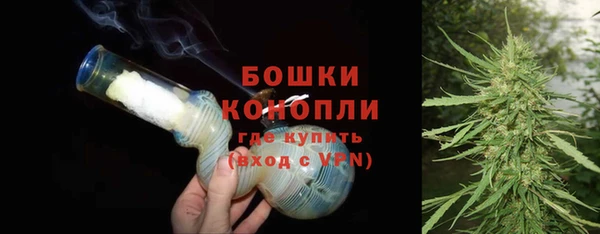 прущие грибы Вязьма