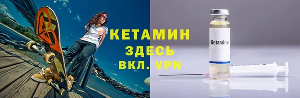 прущие грибы Вязьма