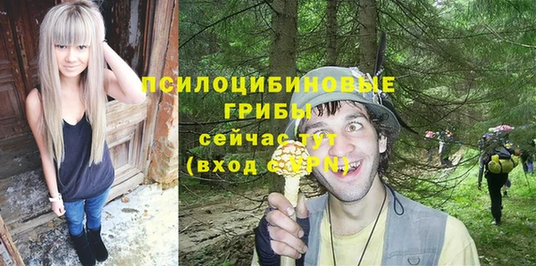 бошки Вяземский