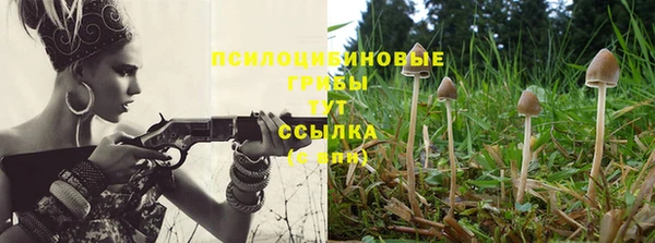 спайс Вязники