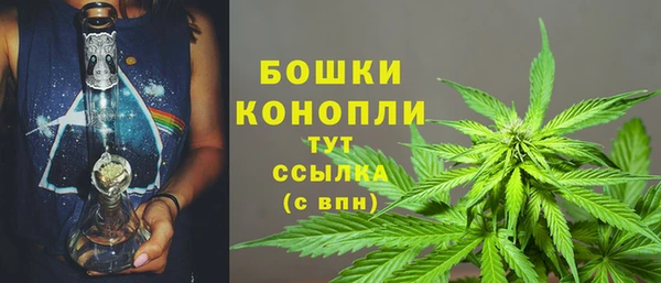 прущие грибы Вязьма