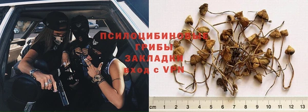 бошки Вяземский