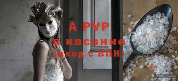 прущие грибы Вязьма