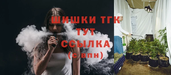 прущие грибы Вязьма