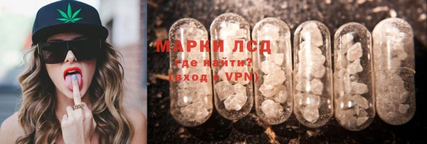 прущие грибы Вязьма